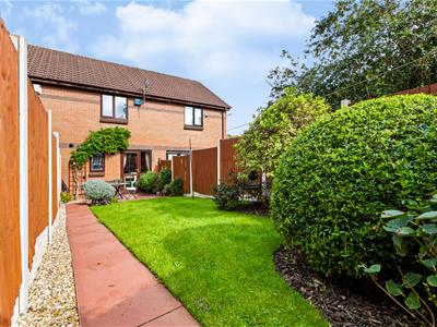 Picture 15